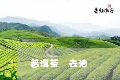 普洱茶 去油/2023042968124